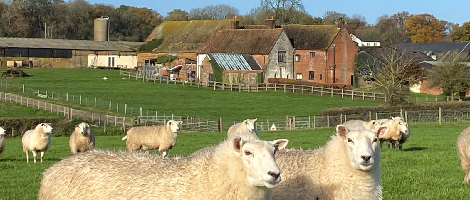 Michelmersh Manor Farm